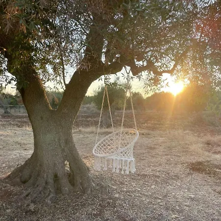 Terra Luce