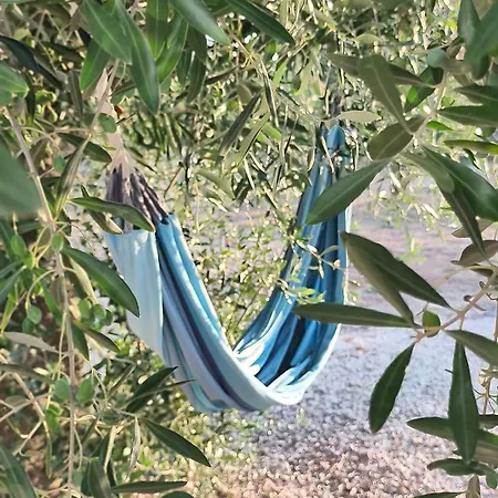 Villa Terra Luce Carovigno